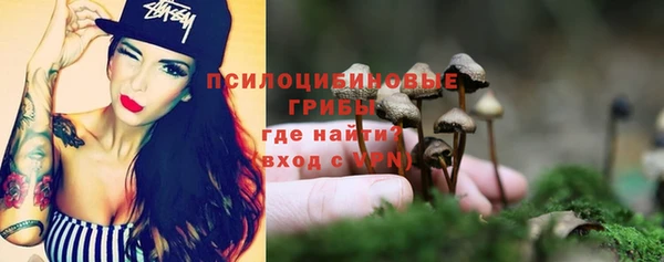 метамфетамин Анива