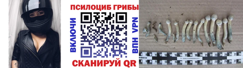 Галлюциногенные грибы мицелий  Кинель 
