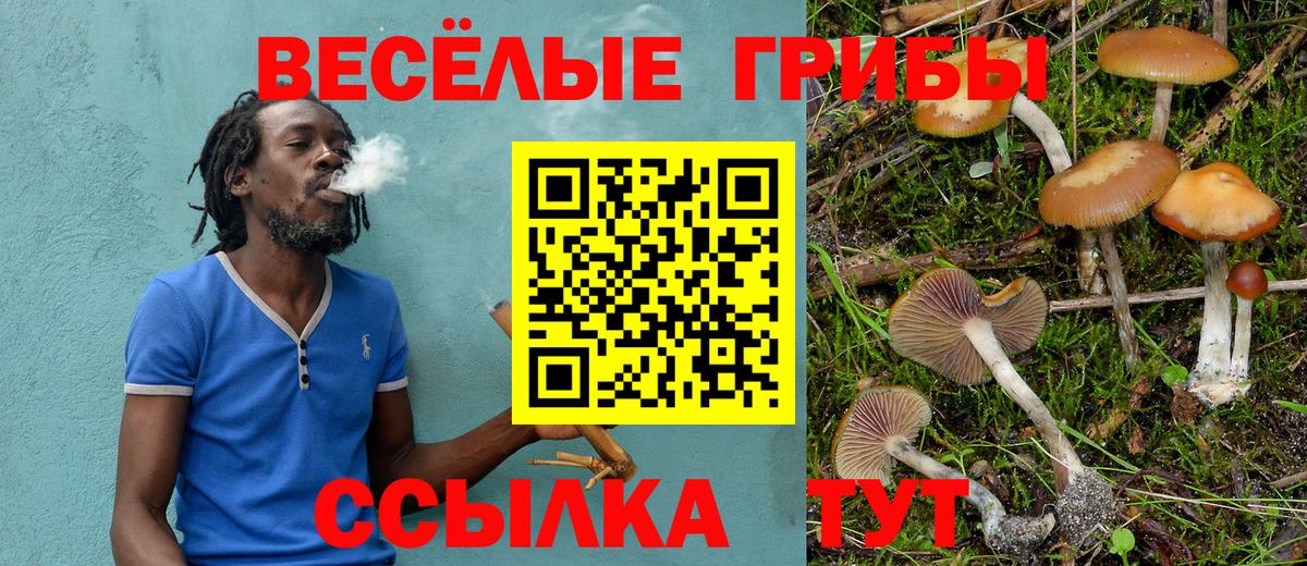 Галлюциногенные грибы Psilocybine cubensis Кинель