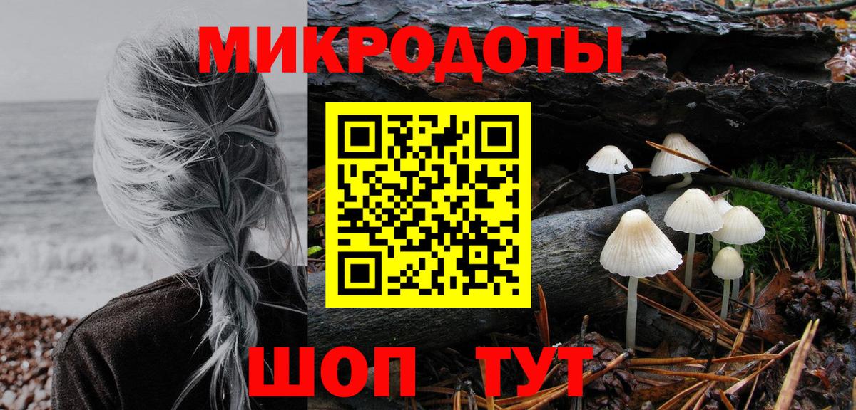 Кинель  Псилоцибиновые грибы мухоморы  Вход с VPN 