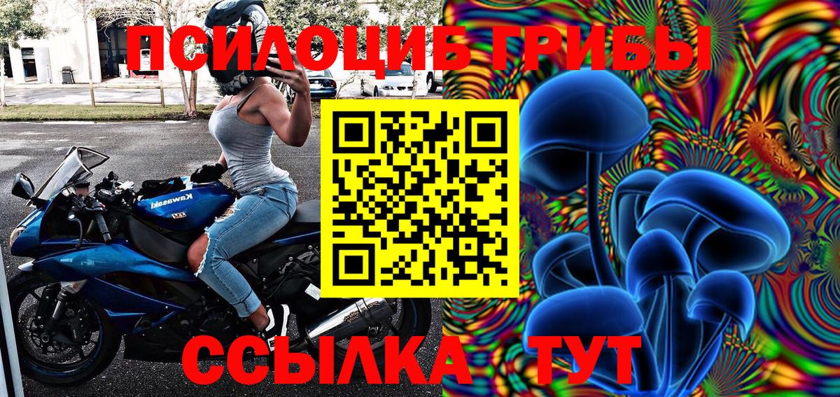 Псилоцибиновые грибы Magic Shrooms  Кинель 