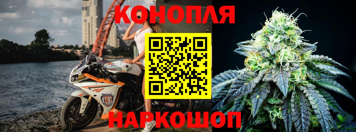 Канабис план Кинель